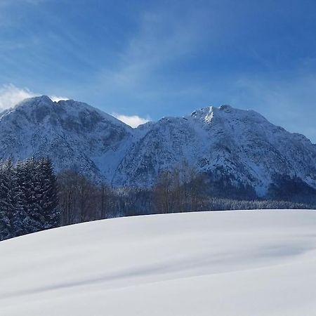 'Dasbergblick' 奥尔陶斯 外观 照片