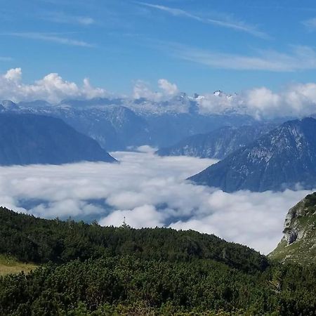 'Dasbergblick' 奥尔陶斯 外观 照片