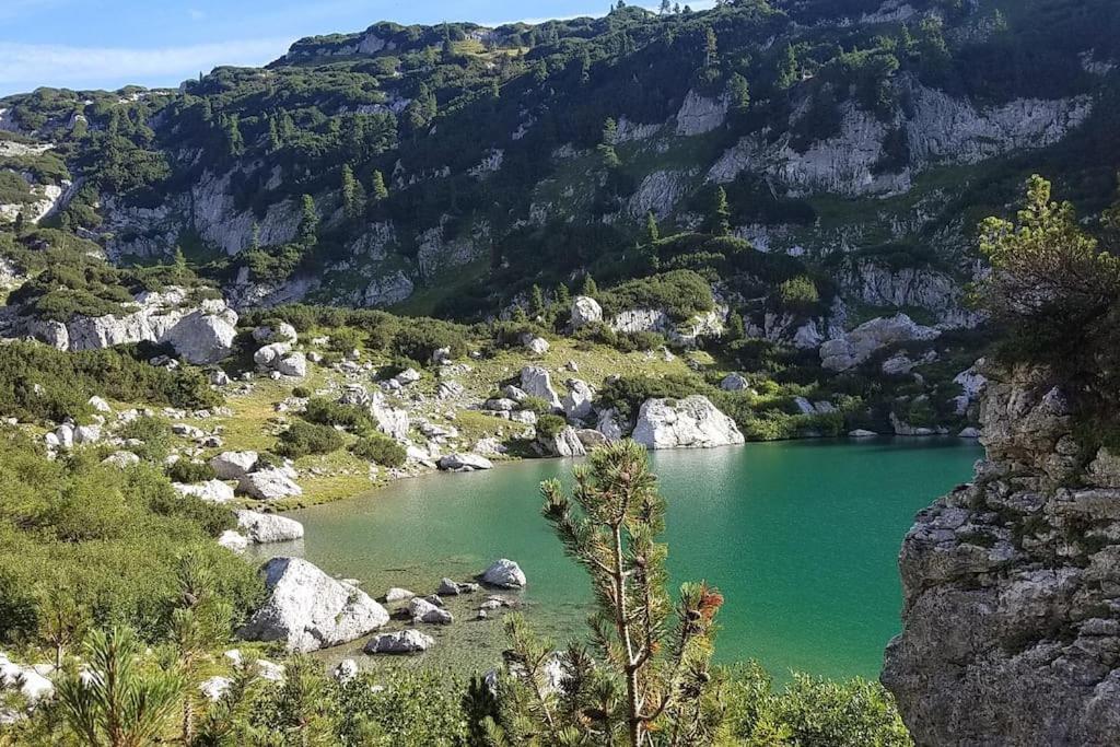 'Dasbergblick' 奥尔陶斯 外观 照片