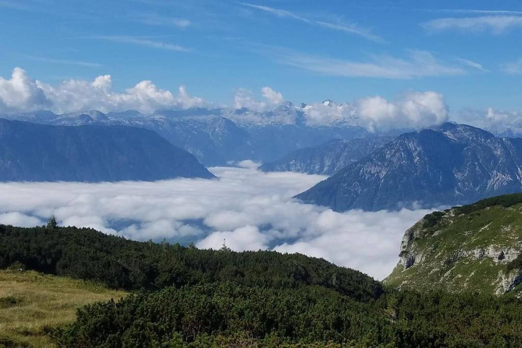 'Dasbergblick' 奥尔陶斯 外观 照片